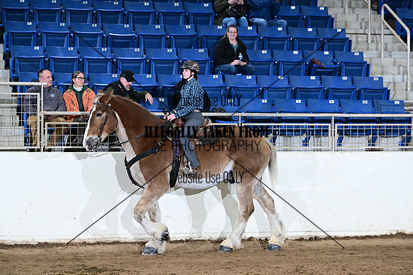 ASH_0647