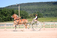 AJB_4817