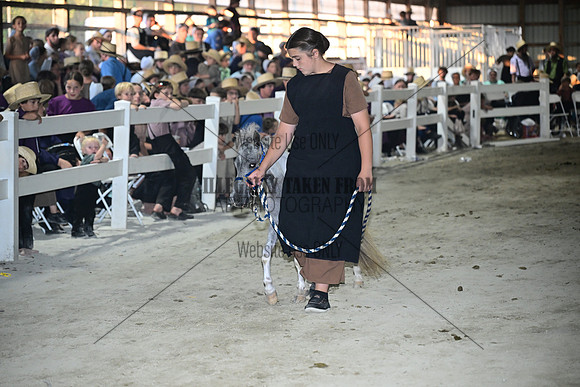AJB_0854