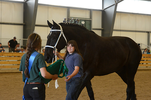 Jr. Youth Showmanship-48