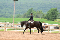 AJB_6936