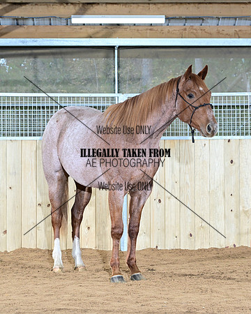 Chip_0916-2yr