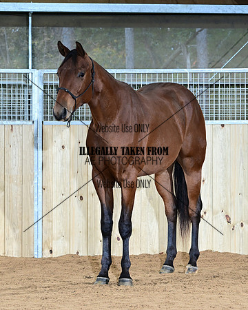 Bea_0914-2yr