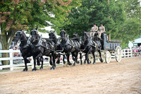 AJB_0590