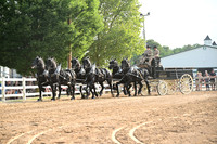 AJB_0481