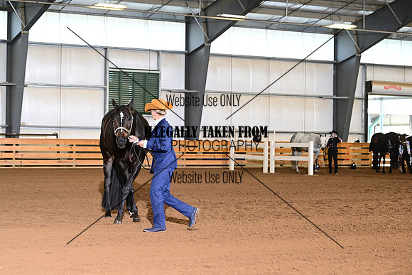 ASH_4158