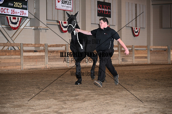 ASH_1581