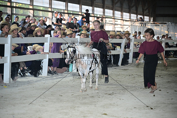 AJB_0859