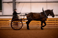 Pleasure Cart