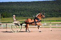 AJB_4407