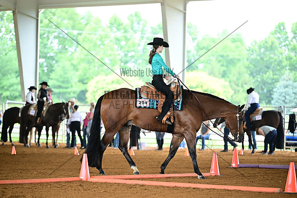 AJB_0946