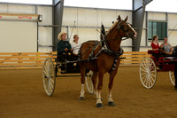 Sr. Youth Cart-20