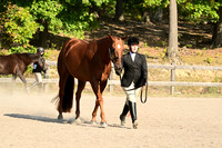 AJB_0281