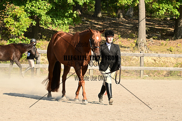 AJB_0281