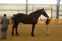 Sr. Youth Showmanship-13