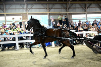 AJB_0744
