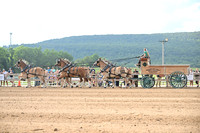 AJB_0392