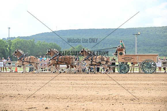 AJB_0392