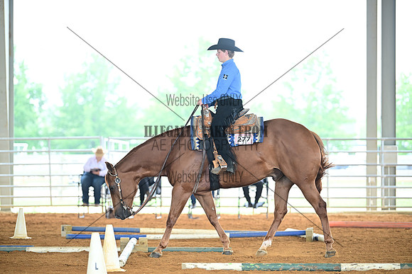 AJB_0910