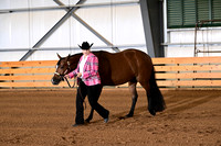 210. Level 1 Amatuer Performance Mares