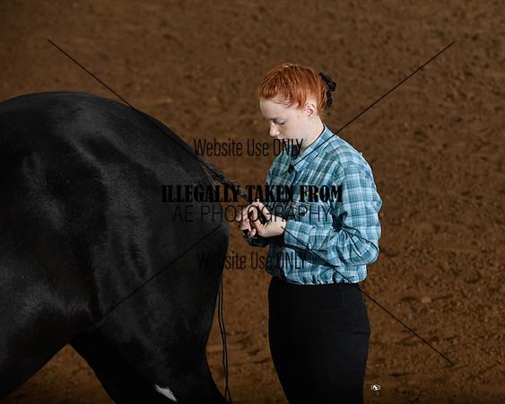 shires_5311