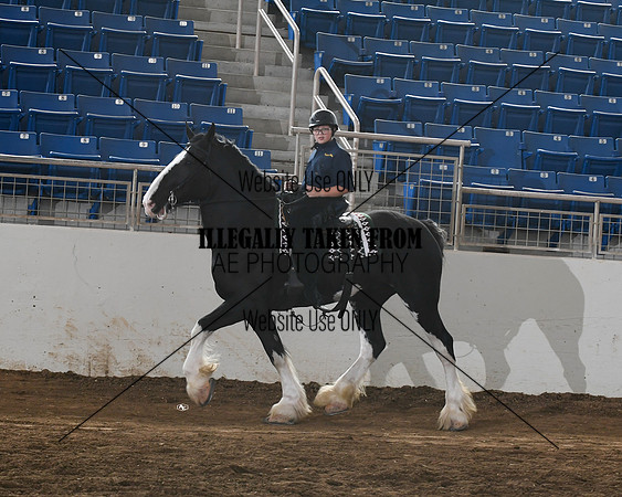 shires_6444