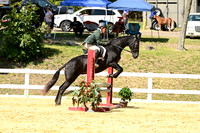 AJB_0734