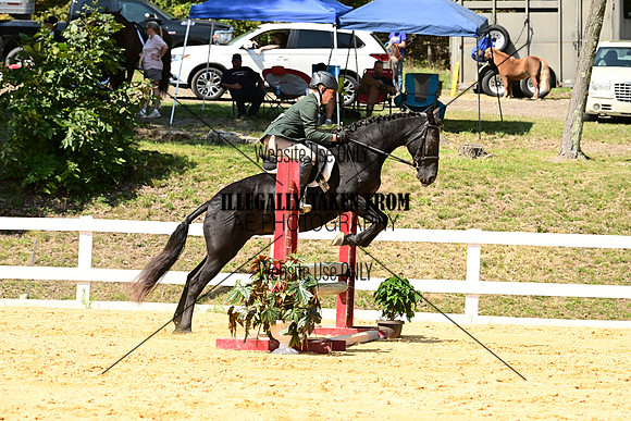AJB_0734