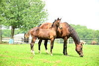 AJB_4783