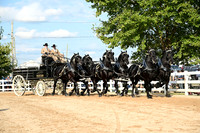 AJB_0495