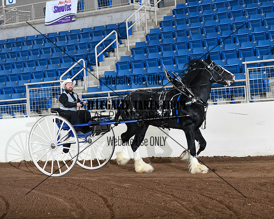 Shires_3571