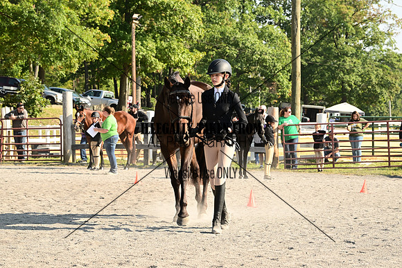 AJB_0288