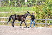 AJB_2012