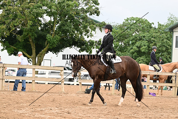 AJB_6748