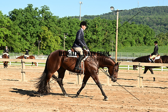 AJB_9979