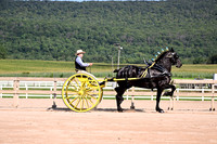 AJB_4625