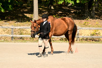 AJB_0400