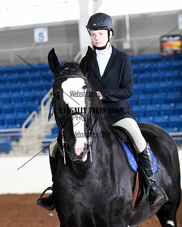 shires_6349