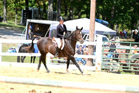 AJB_0878