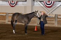 Grand and Reserve Stallion