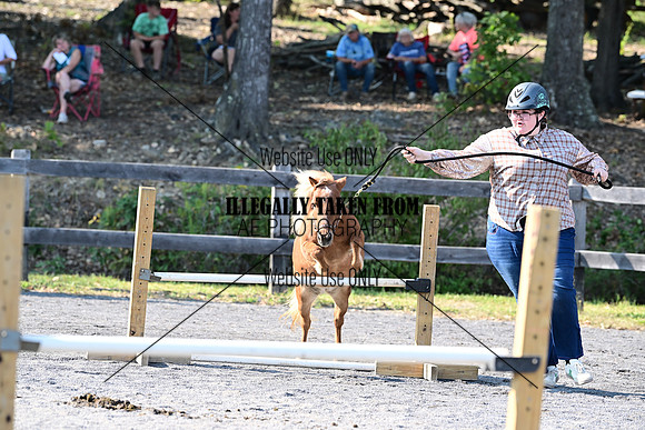 AJB_1197