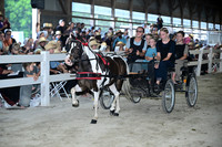 AJB_0785