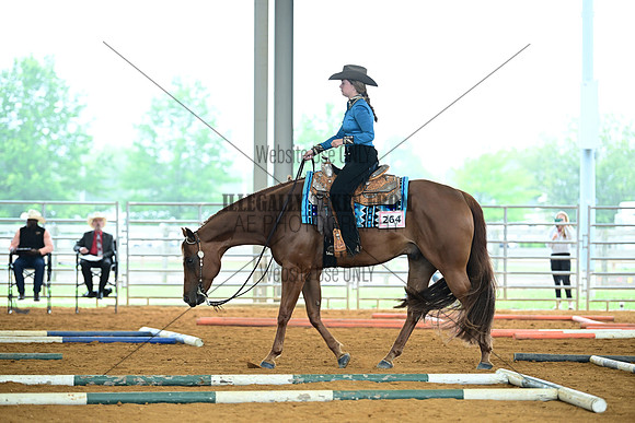AJB_0494