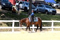 AJB_2495