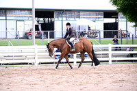 68.Amateur Select Hunter Under Saddle