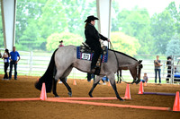AJB_0799