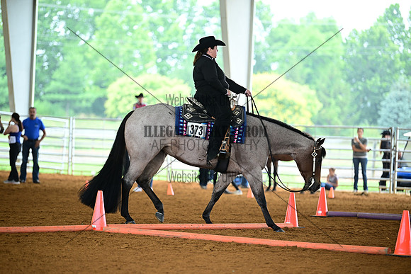 AJB_0799