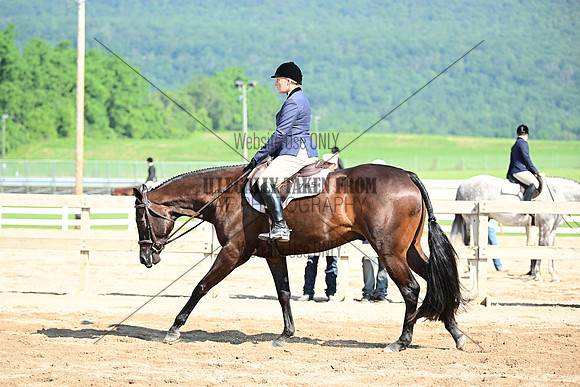 AJB_9058