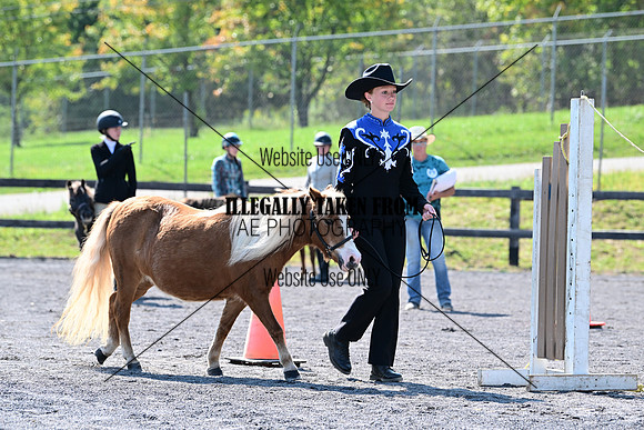 AJB_0972