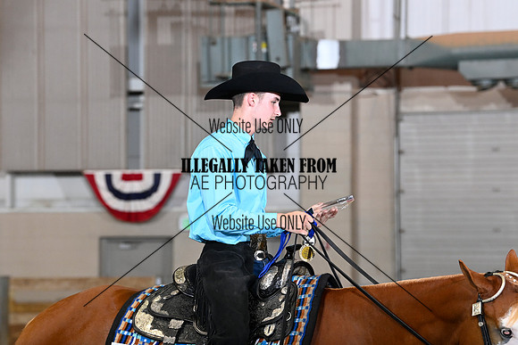 _BRY8008